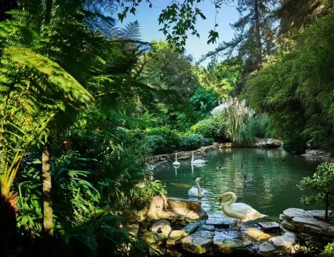 hotel bel-air swan lake